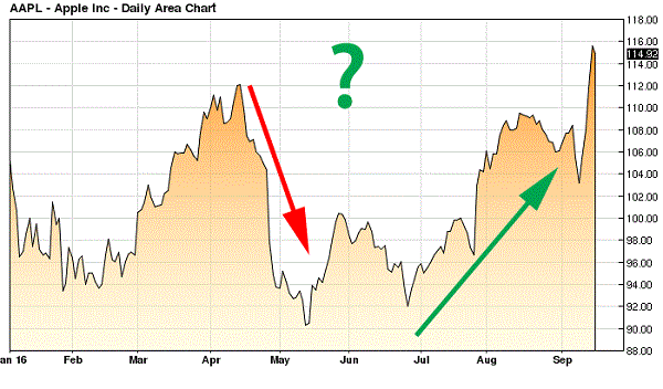 Velocity Options Trader Chart